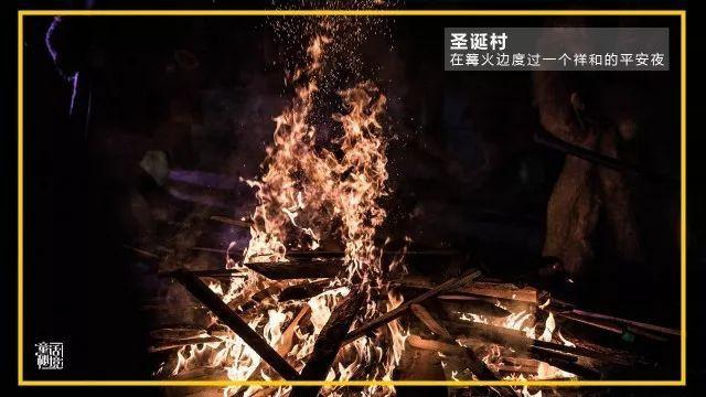 照顾小兔宝宝